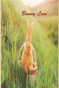 Bunny Love