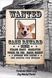 Pembroke Welsh Corgi Dog Wanted Poster