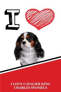 I Love Cavalier King Charles Spaniels: Weekly Planner Notebook 365 Daily - 52 Week Journal 120 Pages 6x9