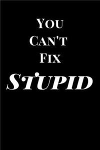 You Can't Fix Stupid