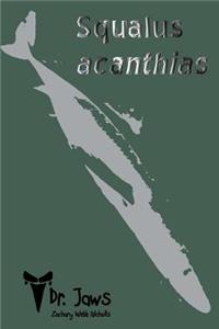 Squalus acanthias