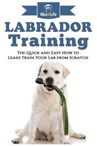 Labrador Training!