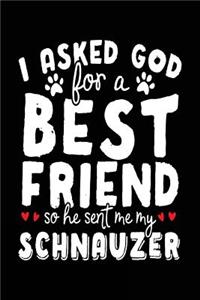 I Asked God For A Best Friend So He Sent Me My Schnauzer