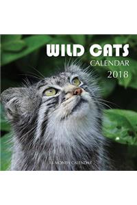 Wild Cats Calendar 2018: 16 Month Calendar