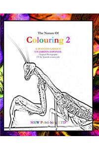 Nature of Colouring 2