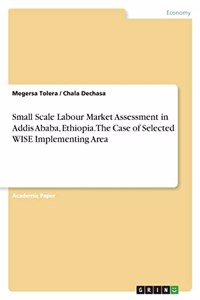 Small Scale Labour Market Assessment in Addis Ababa, Ethiopia. The Case of Selected WISE Implementing Area