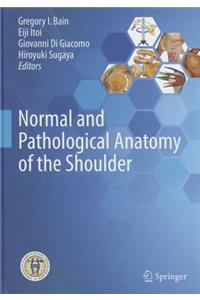 Normal and Pathological Anatomy of the Shoulder