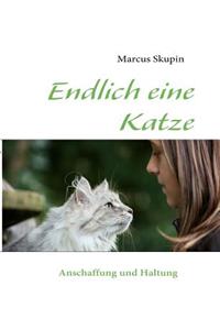 Endlich eine Katze