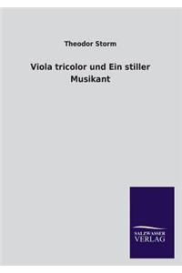 Viola Tricolor Und Ein Stiller Musikant