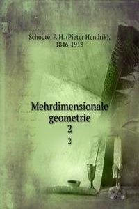 Mehrdimensionale geometrie