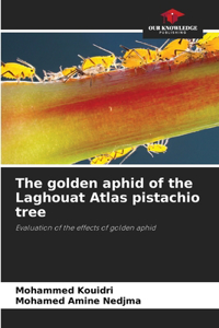 golden aphid of the Laghouat Atlas pistachio tree