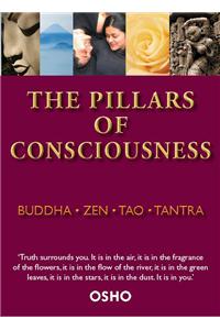 The Pillars of Consciousness