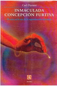 Inmaculada Concepcin Furtiva