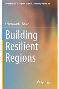 Building Resilient Regions