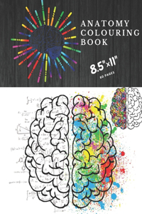 anatomy colouring book