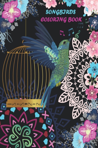 Songbirds coloring book