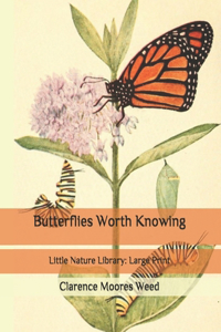 Butterflies Worth Knowing