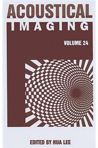 Acoustical Imaging