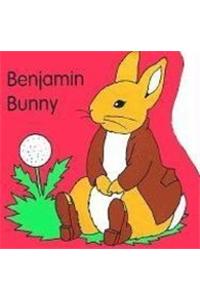Benjamin Bunny Bath Book