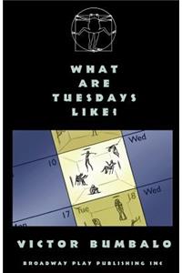 What Are Tuesdays Like?