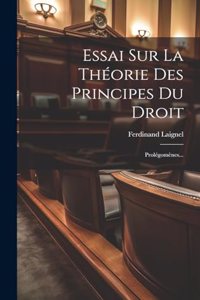 Essai Sur La Théorie Des Principes Du Droit