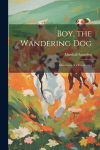 Boy, the Wandering dog; Adventures of a Fox-terrier