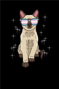 Trans Pride Cat LGBT