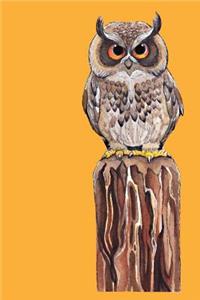 Hunting Owl - 2019 & 2020 Mid Year Academic Journal With Mind Maps, Budget Planner, Goal Setting & Inspirational Quotes