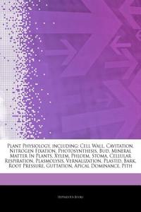 Articles on Plant Physiology, Including: Cell Wall, Cavitation, Nitrogen Fixation, Photosynthesis, Bud, Mineral Matter in Plants, Xylem, Phloem, Stoma