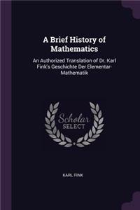 A Brief History of Mathematics