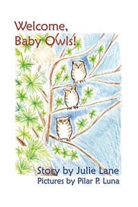 Welcome, Baby Owls!