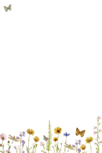 Wildflower Garden Boxed Stationery (Boxed Stationery)