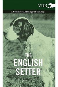The English Setter - A Complete Anthology of the Dog