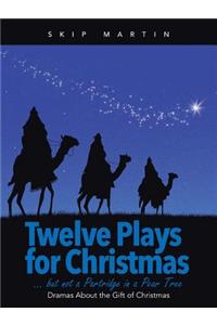 Twelve Plays for Christmas ... but not a Partridge in a Pear Tree