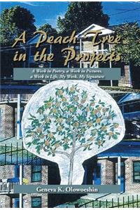 Peach Tree in the Projects