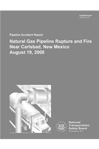 Pipeline Accident Report