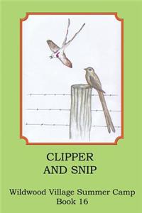 Clipper and Snip