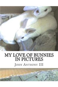 My Love of Bunnies