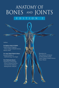 Anatomy of bones and joints