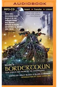 Welcome to Bordertown
