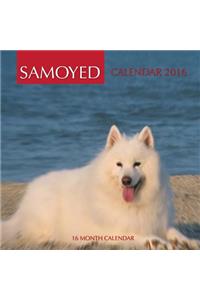 Samoyed Calendar 2016
