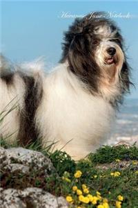 Havanese June Notebook Havanese Record, Log, Diary, Special Memories, To Do List, Academic Notepad, Scrapbook & More
