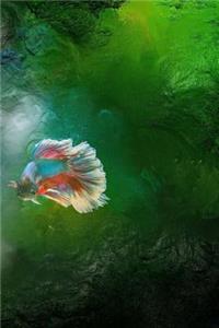 Siamese Fighting Fish Notebook: Betta Notebook with 150 lined pages