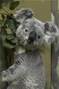 Koala Saying Cheese Journal