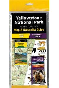 Yellowstone National Park Adventure Set