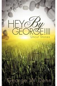 HEY By George!II