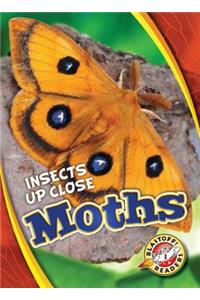 Moths