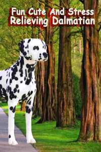 Funny cute and stress relieving dalmatian