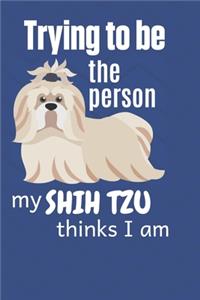 Trying to be the person my Shih Tzu thinks I am
