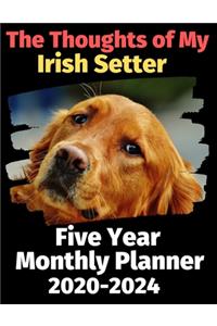 The Thoughts of My Irish Setter